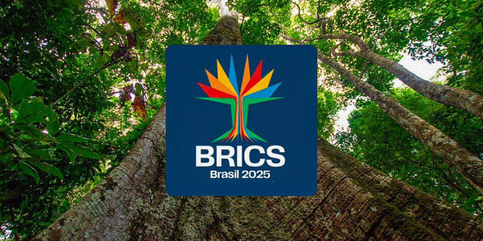 identidade_visual_do_brics_brasil.jpg