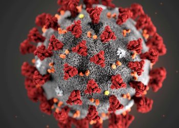 Covid-19: primeiro caso foi confirmado em São Paulo há cinco anos