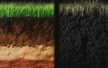 Neymar e mais jogadores declaram guerra ao gramado sintético