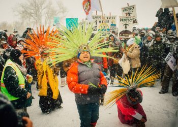 Greenpeace enfrenta risco de falência com processo de US$ 300 milhões nos EUA