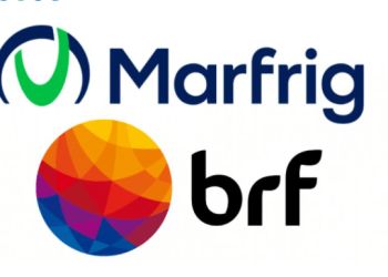Marfrig (MRFG3) salta 5% e BRF (BRFS3) cai forte após balanços; o que explica?