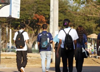 Consulta pública recebe sugestões sobre taxonomia sustentável no país