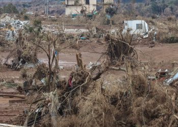 Após enchentes, Serra Gaúcha pode levar 40 anos para recuperar o solo