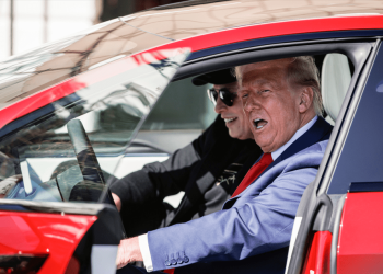 até mesmo fãs de Musk estão cautelosos com baixa das ações