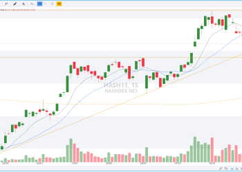 Hashdex (HASH11) cai 20,5% em fevereiro: sinal de alerta ou oportunidade de compra?