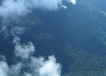Petrobras comprará R$ 450 milhões em créditos de carbono na Amazônia