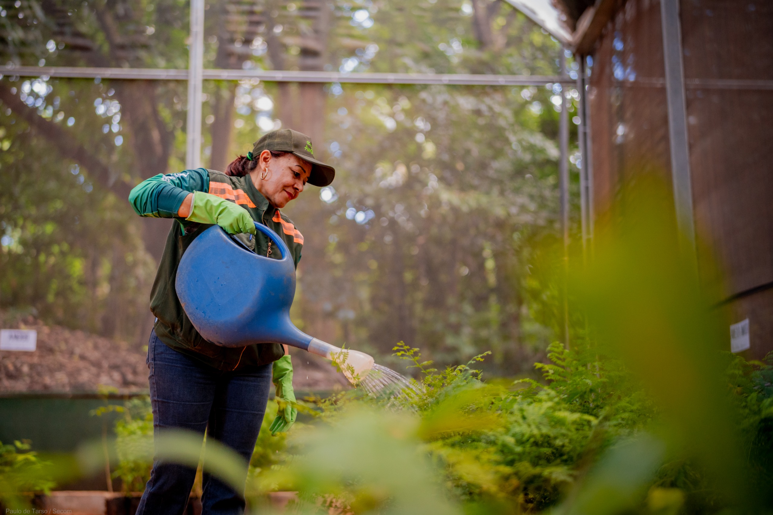 troca-sustentavel-no-viveiro-municipal-de-anapolis3A-plantio-de-arvores-em-troca-de-reciclaveis-e-alimentos