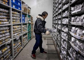 Tarifas de Trump devem castigar a Ásia; mas um país vê uma oportunidade