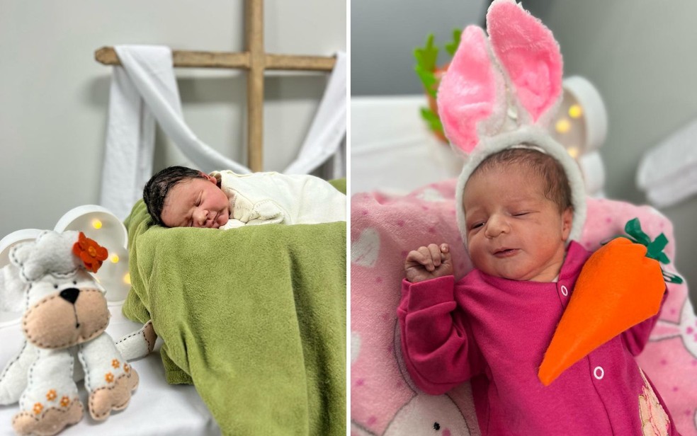 ensaio-tematico-de-pascoa-emociona-bebes-e-familias-no-hospital-estadual-de-luziania3A-um-momento-de-renovacao-e-amor