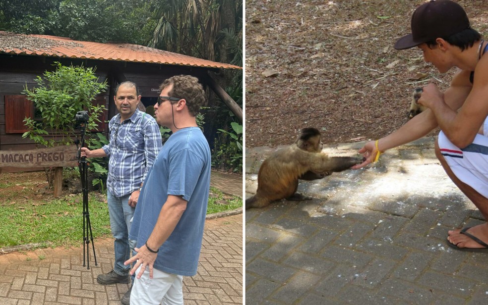 pesquisa-da-usp-analisa-interacao-de-macacos-prego-com-pessoas-no-parque-areiao-em-goiania2C-visando-a-preservacao-da-especie