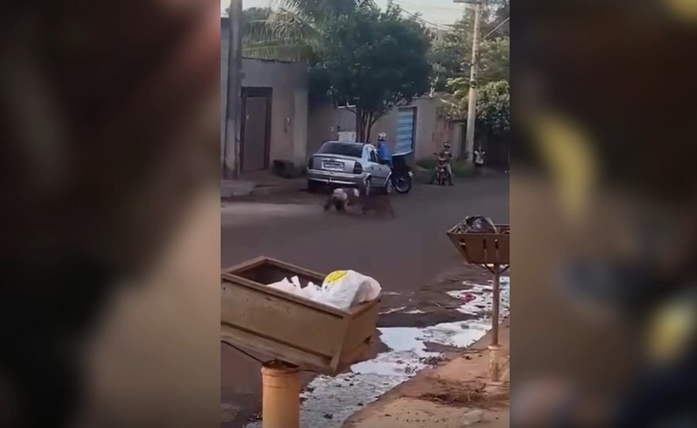pit-bull-ataca-tutor-e-mata-caes-na-rua-em-rio-verde3A-relato-dos-bombeiros