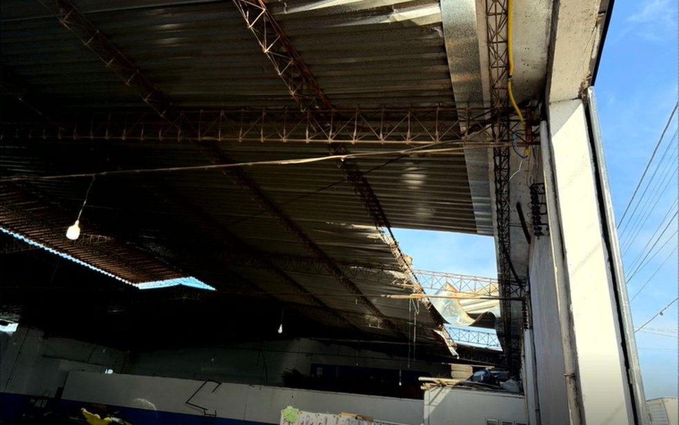 temporal-destruidor-em-carmo-do-rio-verde3A-chuva-arranca-arvores-em-20-minutos