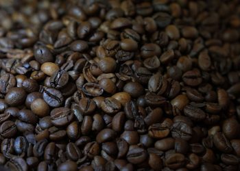 Como o café afeta o cérebro durante o sono? Novo estudo explica