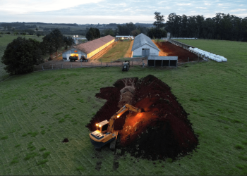 com morte no Camboja, veja quantos óbitos foram registrados em 2025