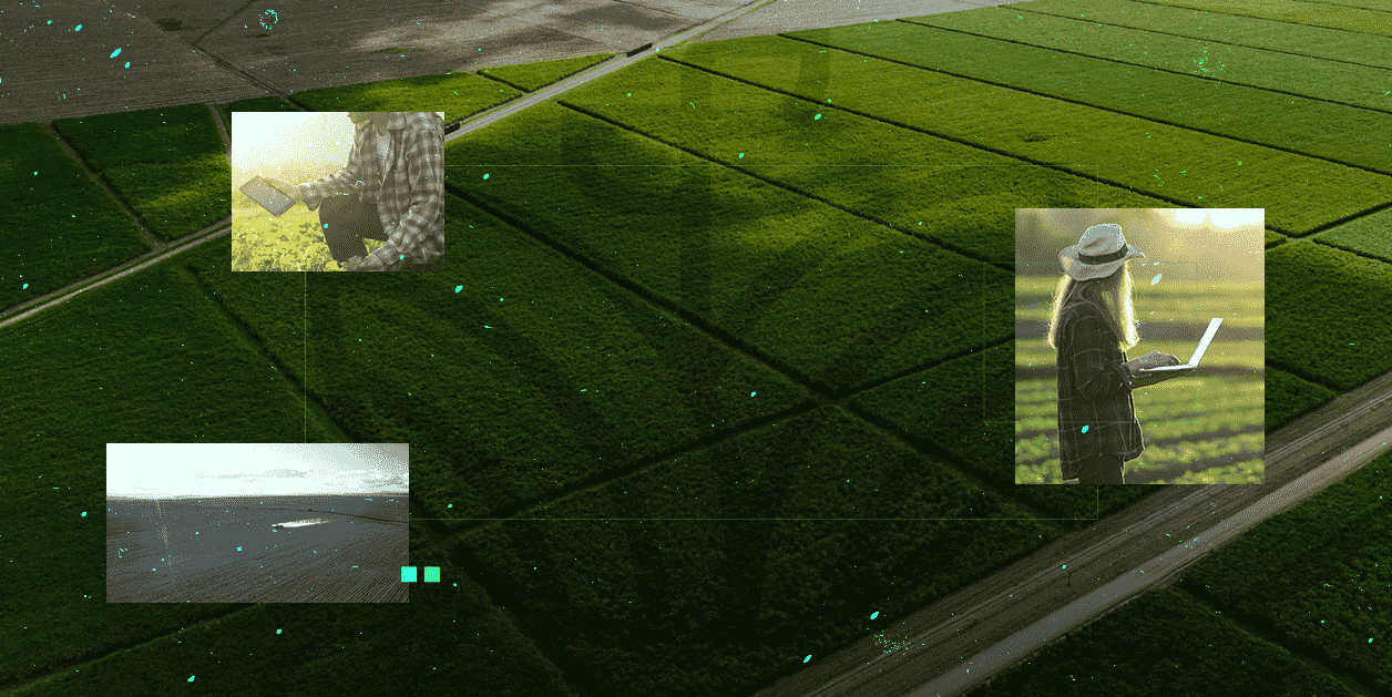 agrogalaxy-Divulgacao-min.png
