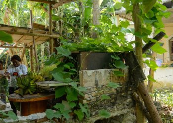 Seis em cada dez quilombolas vivem em área rural, revela Censo do IBGE