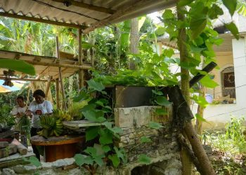 Seis em cada dez quilombolas vivem em área rural, revela Censo do IBGE