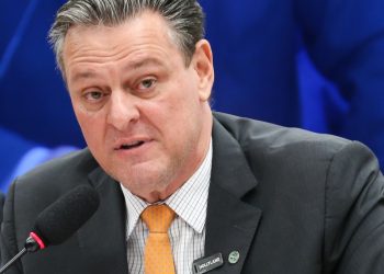 Gripe aviária não deve impactar preço da carne de frango, diz ministro