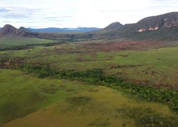 Cerrado: preservação e negócios são tema do Caminhos da Reportagem