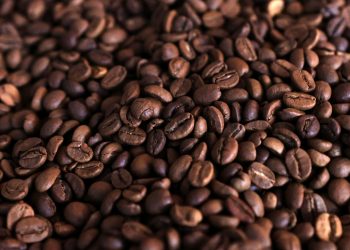 Estudo diz que café está associado a menor risco de morte; veja a quantidade ideal