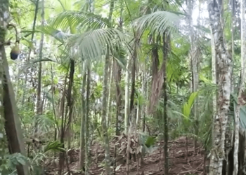 Disputa política trava projeto de licenciamento ambiental