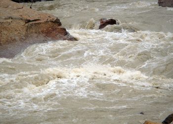 o que se sabe e quais ações podem ganhar na B3