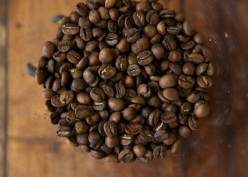 Como tarifaço pode prejudicar exportações brasileiras de suco, café, carne e frutas