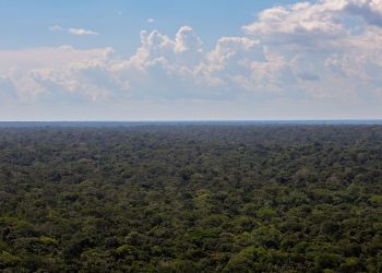Organizações sociais propõem plano para investimentos na Amazônia