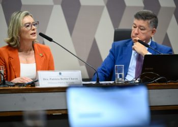 Defensora pública da União faz sugestões à CPMI para evitar fraudes no INSS – Notícias