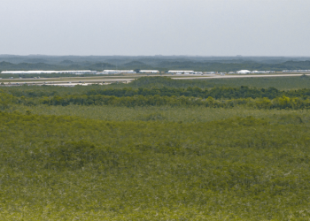 juíza suspende construção de centro de detenção nos EUA
