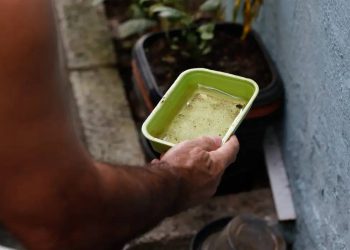 Chikungunya traz preocupações após uma década de presença no Brasil