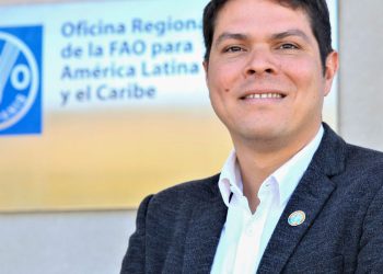 Combate à gripe aviária depende de articulação e abordagem integral