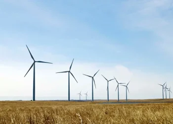 Brasil é o novo destino das fazendas de mineração de criptomoedas; entenda