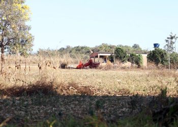 Defesa de fazendeiros em Goiás contesta decisão sobre quilombolas