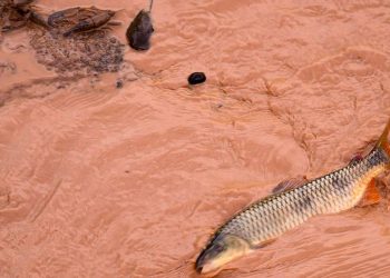 Samarco e Vale são multadas em mais de R$ 1,8 bilhão