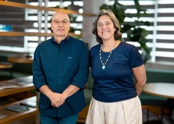 Seguro é ‘antídoto’ para tempos incertos? Entenda o que diz a neurociência