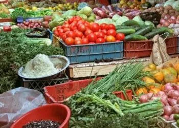 Seu cérebro decide se a comida é saudável ou saborosa em 200 milissegundos; entenda