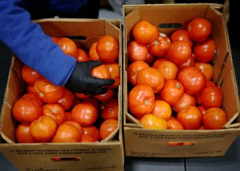 Juiz obriga governo Trump a pagar integralmente programa de auxílio alimentar