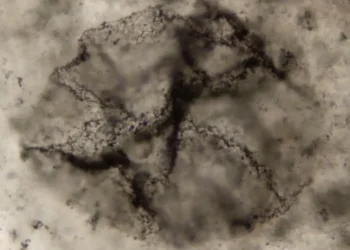 Novo método identifica sinais de vida em rochas de bilhões de anos