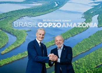 Tesla, Novo Nordisk e florestas? Entenda a importância do fundo soberano na Noruega