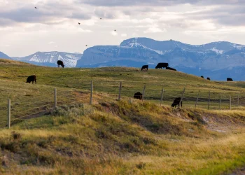 Republicanos no Congresso dos EUA querem frear guerra comercial de Trump