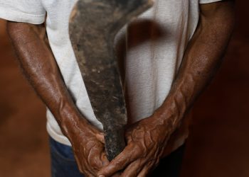 Fronteira Cerrado: desmatamento gera conflitos por terra e grilagem