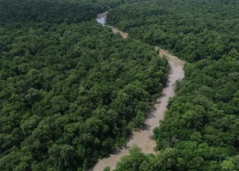 Áreas protegidas são quase metade da Amazônia Legal, mostra IBGE