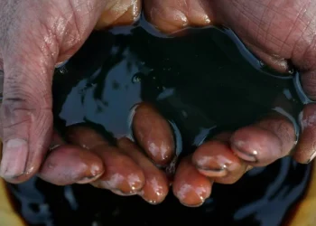 qual se dará melhor no 3T? XP prevê resultados desiguais