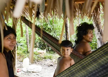 Brasil lidera número de povos isolados, mas há lacunas na proteção