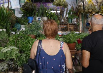 Tradição e fé impulsionam busca por banhos e ervas no fim de ano