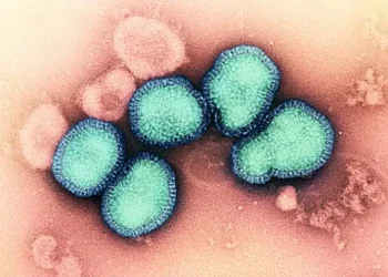 a dose disponível protege contra a nova infecção? Entenda