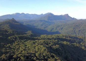 Retrospectiva 2025: Câmara aprovou proposta que altera licenciamento ambiental – Notícias