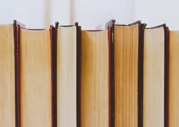 confira os destaques de alta do Ibovespa no ano