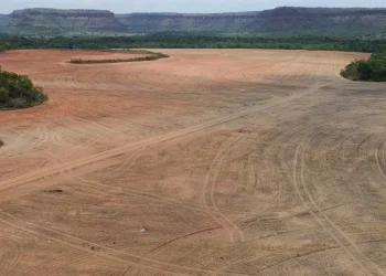 Processadoras de soja deixam acordo sobre desmatamento na Amazônia